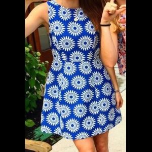 Alice and Olivia Blue and White Floral Dress